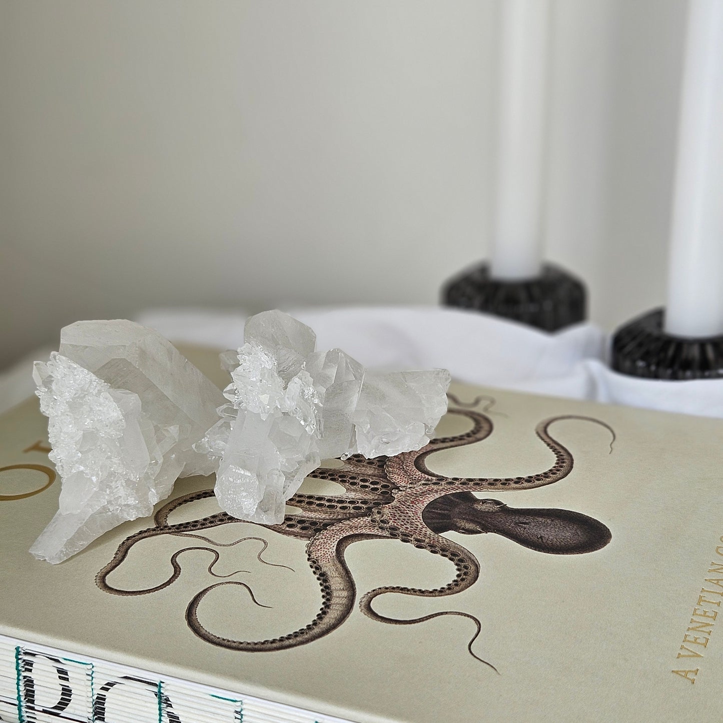 Medium White Quartz Crystal II